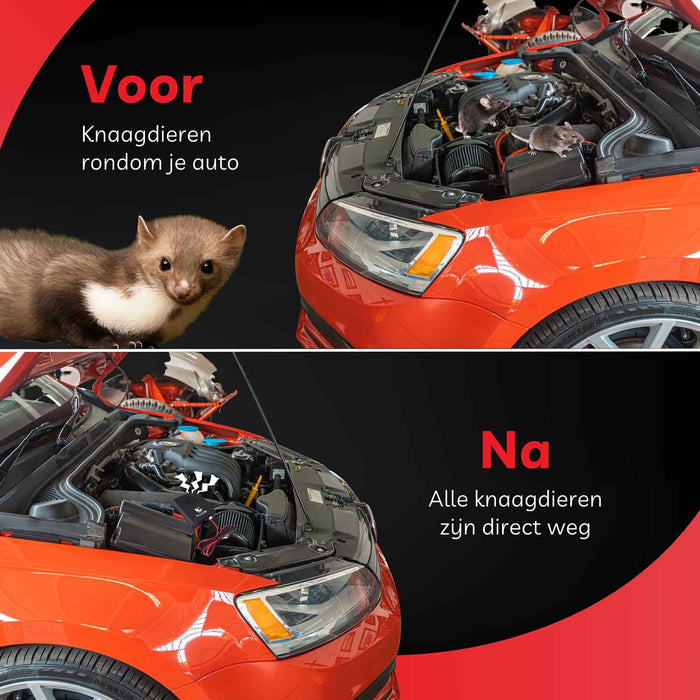 Beste marterverjager auto